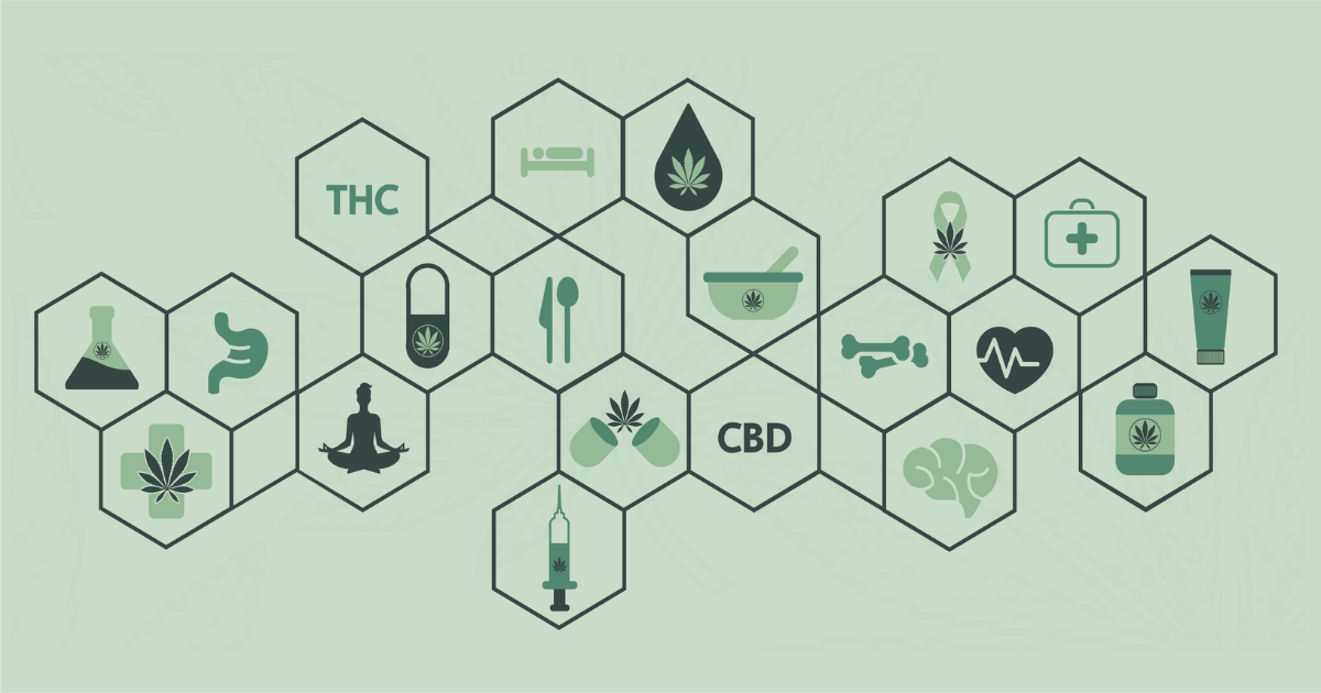 cannabis-and-your-endocannabinoid-system-blog-2023-comp